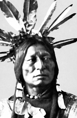 grobogige hckernase many horns dakota sioux 1872